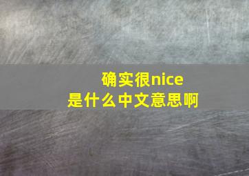 确实很nice是什么中文意思啊