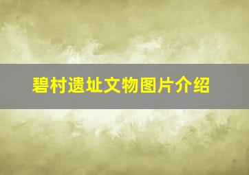 碧村遗址文物图片介绍