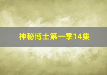 神秘博士第一季14集