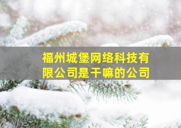 福州城堡网络科技有限公司是干嘛的公司