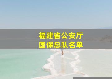 福建省公安厅国保总队名单