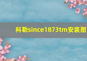 科勒since1873tm安装图