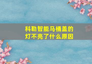 科勒智能马桶盖的灯不亮了什么原因