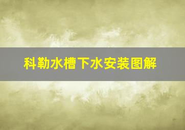 科勒水槽下水安装图解