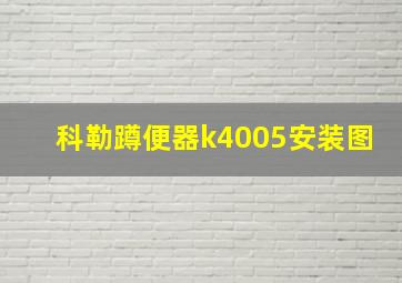 科勒蹲便器k4005安装图