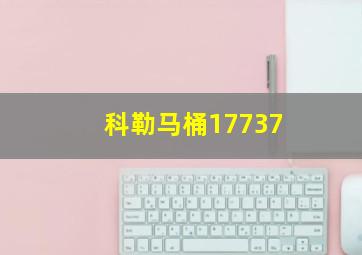 科勒马桶17737