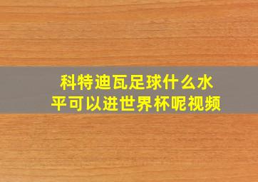 科特迪瓦足球什么水平可以进世界杯呢视频