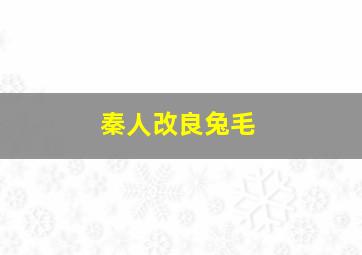 秦人改良兔毛