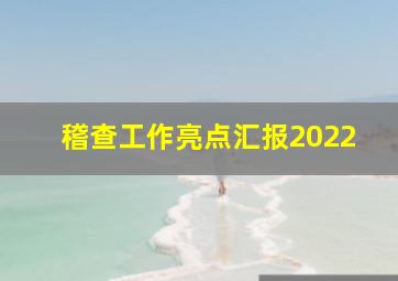 稽查工作亮点汇报2022