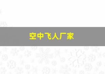 空中飞人厂家