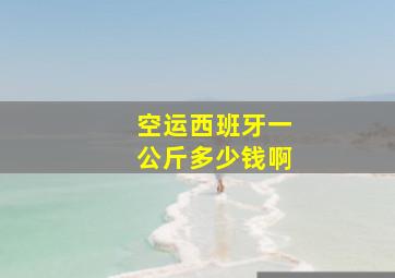 空运西班牙一公斤多少钱啊