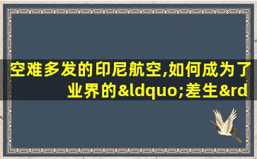 空难多发的印尼航空,如何成为了业界的“差生”