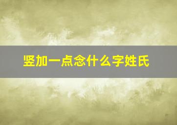 竖加一点念什么字姓氏