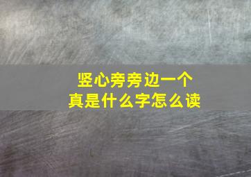 竖心旁旁边一个真是什么字怎么读