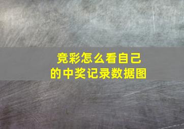 竞彩怎么看自己的中奖记录数据图