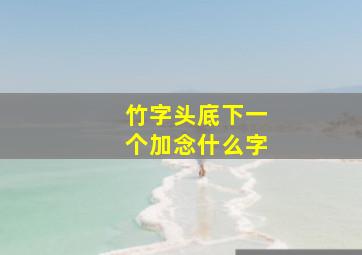 竹字头底下一个加念什么字