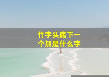 竹字头底下一个加是什么字