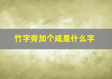 竹字旁加个咸是什么字