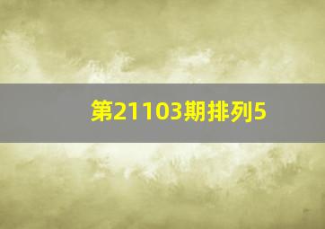 第21103期排列5