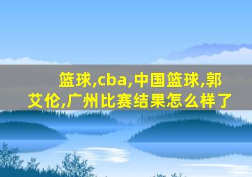 篮球,cba,中国篮球,郭艾伦,广州比赛结果怎么样了