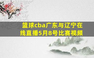 篮球cba广东与辽宁在线直播5月8号比赛视频