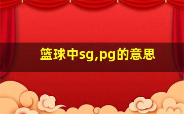 篮球中sg,pg的意思