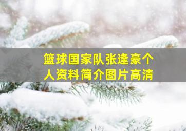 篮球国家队张逢豪个人资料简介图片高清