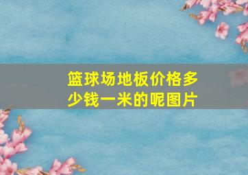 篮球场地板价格多少钱一米的呢图片