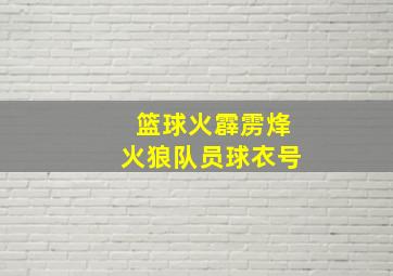 篮球火霹雳烽火狼队员球衣号