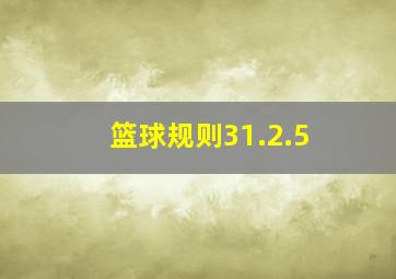 篮球规则31.2.5