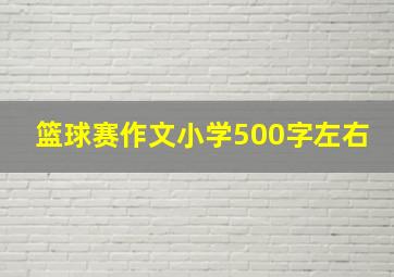 篮球赛作文小学500字左右