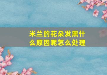 米兰的花朵发黑什么原因呢怎么处理