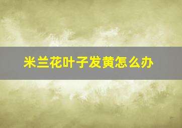 米兰花叶子发黄怎么办