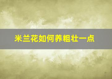 米兰花如何养粗壮一点