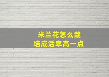 米兰花怎么栽培成活率高一点