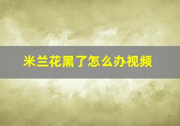 米兰花黑了怎么办视频