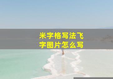 米字格写法飞字图片怎么写