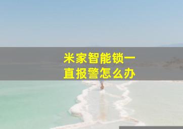 米家智能锁一直报警怎么办