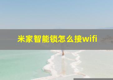 米家智能锁怎么接wifi