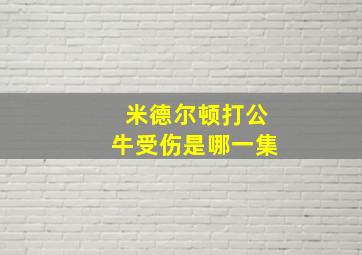 米德尔顿打公牛受伤是哪一集