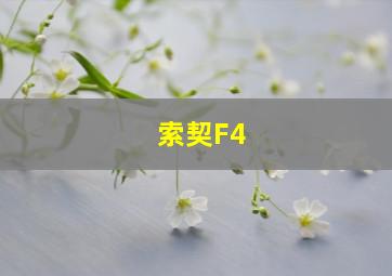 索契F4