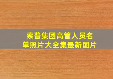 索普集团高管人员名单照片大全集最新图片