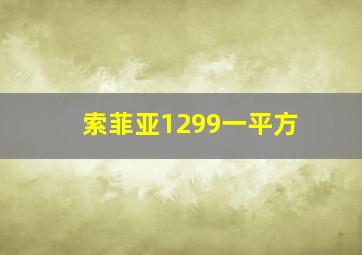 索菲亚1299一平方