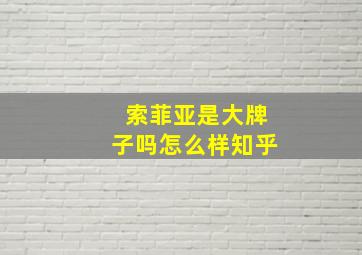 索菲亚是大牌子吗怎么样知乎