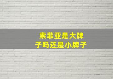 索菲亚是大牌子吗还是小牌子