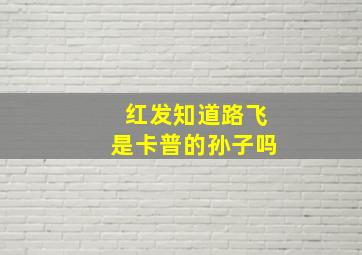 红发知道路飞是卡普的孙子吗