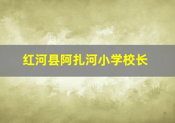 红河县阿扎河小学校长