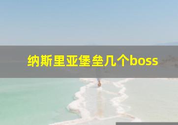 纳斯里亚堡垒几个boss