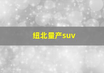 纽北量产suv