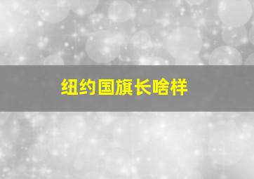 纽约国旗长啥样